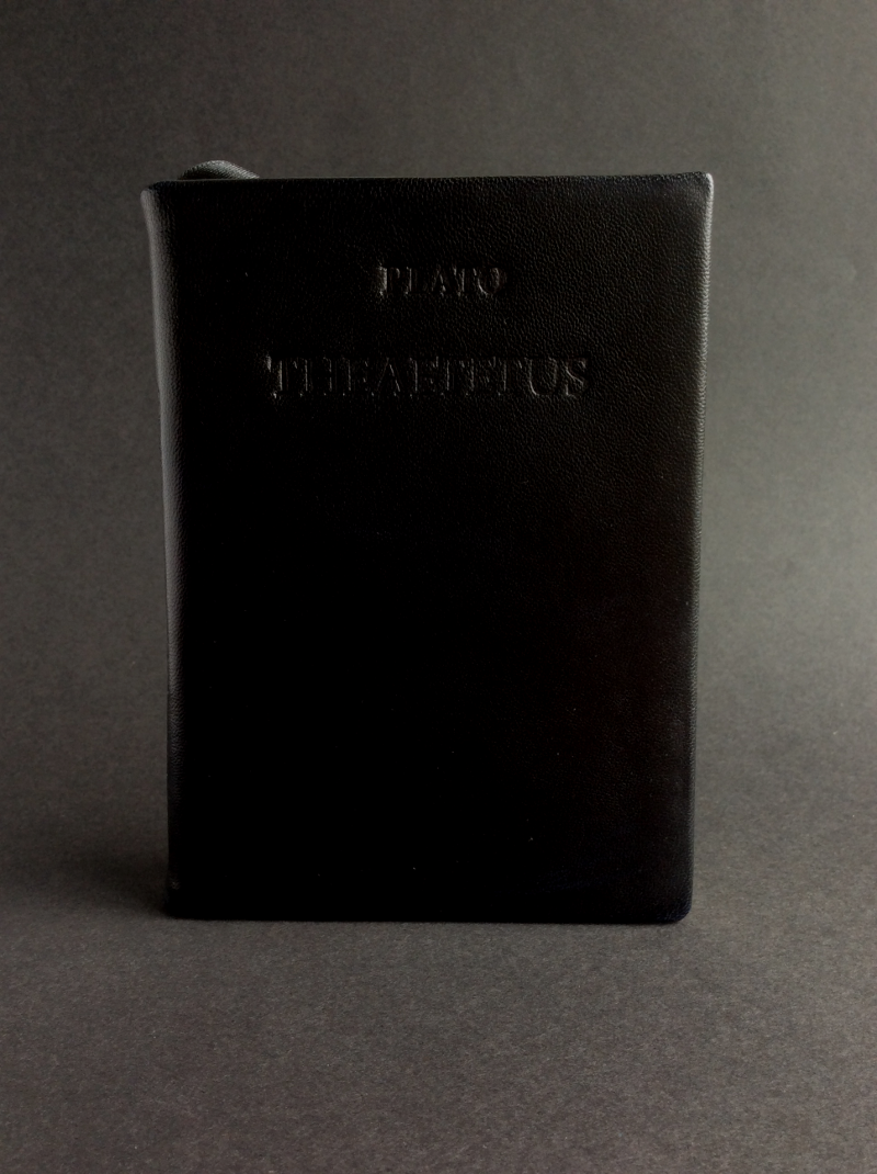 Theaetetus by Plato. Logos Editions.